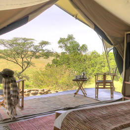kicheche bush camp